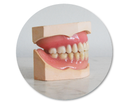 Implantes odontológicos con DentiSalud